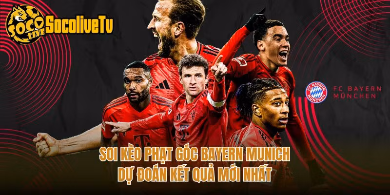 Soi Kèo Phạt Góc Bayern Munich - Dự Đoán Kết Quả Mới Nhất